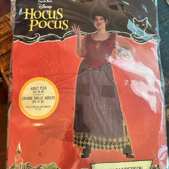 Disney Hocus Pocus Mary Sanderson Costume & Wig - Picture 2 of 7